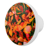 Türknopf für die Textur im Herbst Keramikknauf (Rechts)