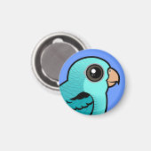 Türkquoise Barred Parakeet Magnet (Vorderseite/Rückseite)