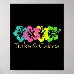 Turks & amp; Caicos Travel Surf & amp; Beach T-Shi Poster