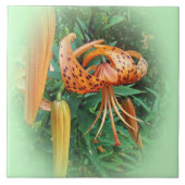 Turk's Cap Lily Wildblume Fliese (Vorderseite)