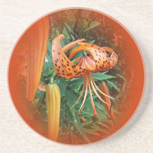 Turk's Cap Lily Wildblume Sandstein Untersetzer (Vorne)