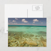 Turks und Caicos, Grand Turk Island, Cockburn 2 Postkarte (Vorne/Hinten)