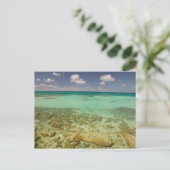 Turks und Caicos, Grand Turk Island, Cockburn 2 Postkarte (Stehend Vorderseite)