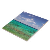 Turks und Caicos, Grand Turk Island, Cockburn 3 Fliese (Seite)