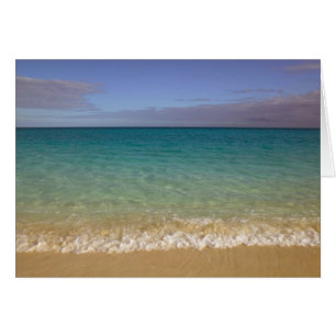 Turks und Caicos, Providenciales Island, Grace 2