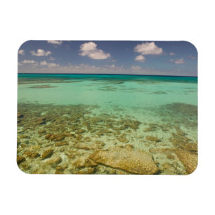 Turks- und Caicosinseln, Grand Turk Island, Cockbu Magnet