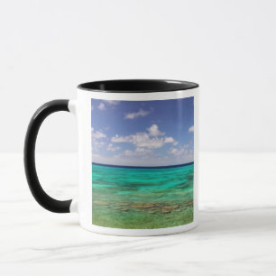 Turks- und Caicosinseln, Grand Turk Island, Cockbu Tasse