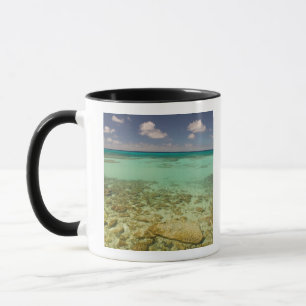 Turks- und Caicosinseln, Grand Turk Island, Cockbu Tasse
