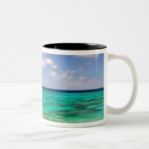 Turks- und Caicosinseln, Grand Turk Island, Cockbu Zweifarbige Tasse