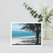 Turks- und Caicosinseln Postkarte (Stehend Vorderseite)