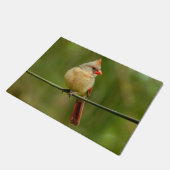 Türmatte (Schrägansicht)