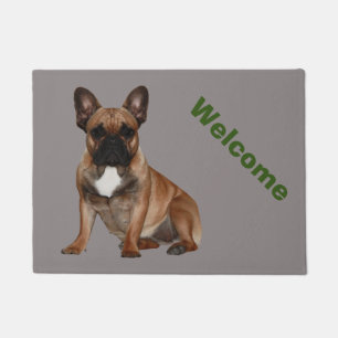 Türmatte französische Bulldoggen 