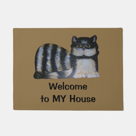 Türmatte - Streifenkatze meines Hauses (Vorderseite)