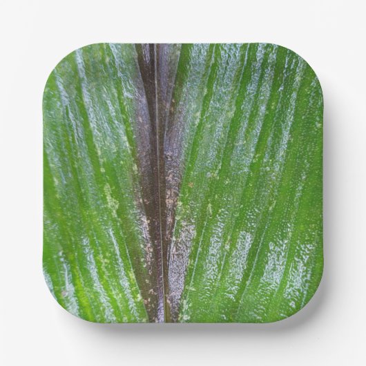 Turmergrünes Leaf 7" Quadrat Teller (Vorderseite)