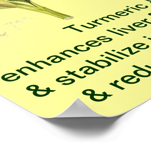 Turmeric Poster (Ecke)