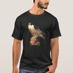 Turmfalke Falke Raubvogel Habicht Falkner T-Shirt