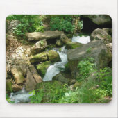 Turner-Frühlinge Mousepad (Vorne)