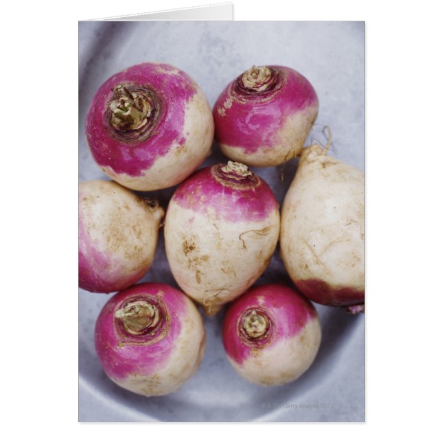 Turnips (Vorne)