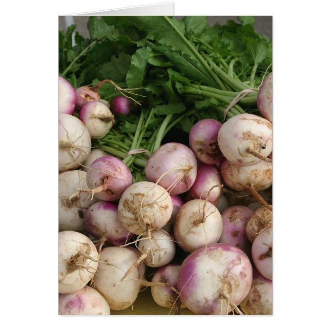 Turnips (Vorne)