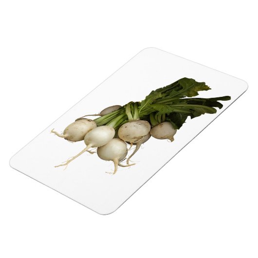 Turnips Foto Magnet (Linke Seite)