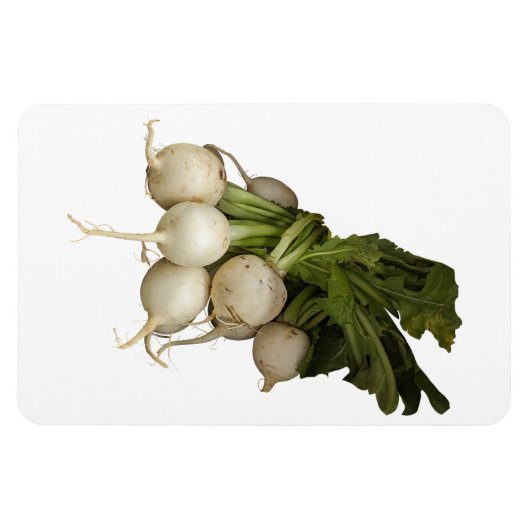 Turnips Foto Magnet (Horizontal)