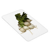 Turnips Foto Magnet (Rechte Seite)