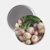 Turnips Magnet (Vorderseite/Rückseite)