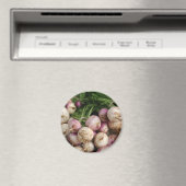 Turnips Magnet (In Situ (Geschirrspüler))