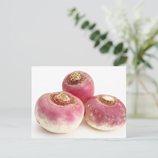Turnips Postkarte (Stehend Vorderseite)