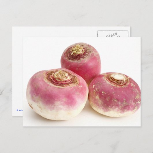 Turnips Postkarte (Vorne/Hinten)