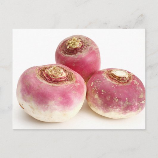 Turnips Postkarte (Vorderseite)