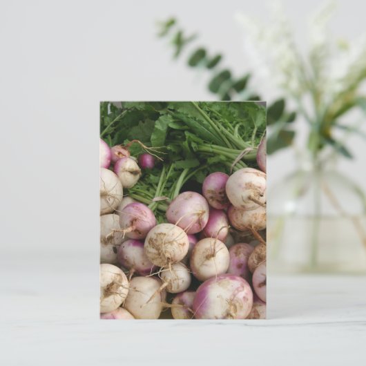 Turnips Postkarte (Stehend Vorderseite)