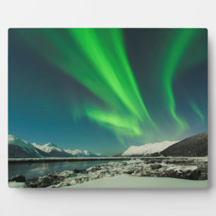 Turnonce Arm Aurora Fotoplatte