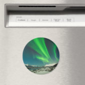 Turnonce Arm Aurora Magnet (In Situ (Geschirrspüler))