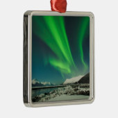 Turnonce Arm Aurora Ornament Aus Metall (Rechts)