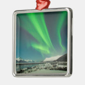Turnonce Arm Aurora Ornament Aus Metall (Links)