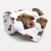 Turnschuhe die Airedale-Krawatte Krawatte (Gerollt)