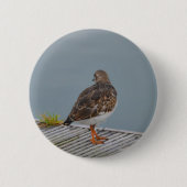 Turnstone Button (Vorderseite)