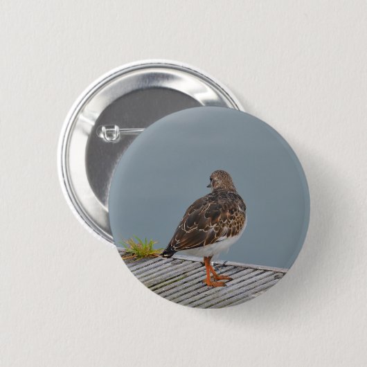 Turnstone Button (Vorne & Hinten)