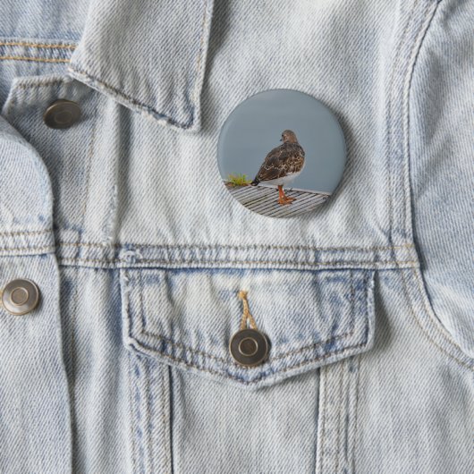Turnstone Button (Beispiel)