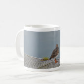 Turnstone Kaffeetasse (Vorderseite Links)