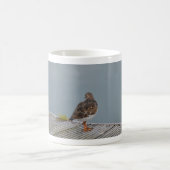 Turnstone Kaffeetasse (Mittel)