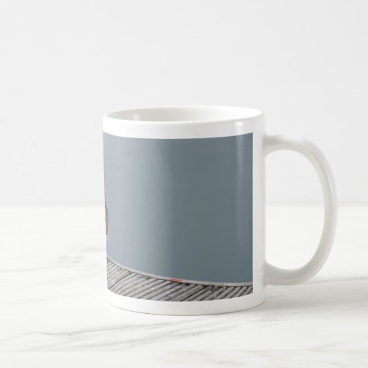Turnstone Kaffeetasse (Rechts)