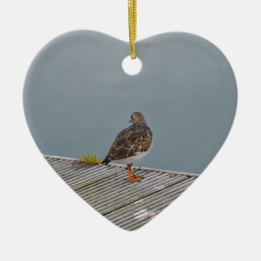 Turnstone Keramik Ornament (Vorne)