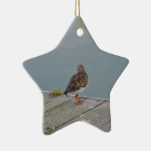 Turnstone Keramik Ornament (Rechts)