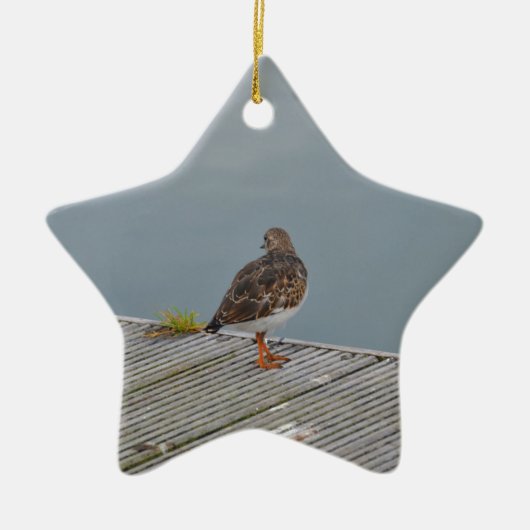 Turnstone Keramik Ornament (Vorne)
