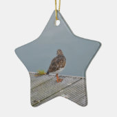 Turnstone Keramik Ornament (Links)