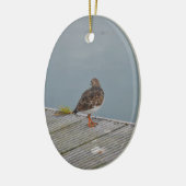 Turnstone Keramik Ornament (Links)