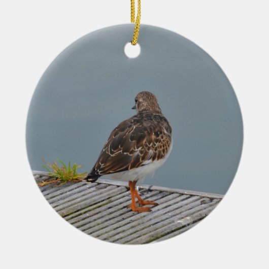 Turnstone Keramik Ornament (Vorne)