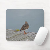 Turnstone Mousepad (Mit Mouse)